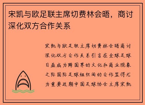 宋凯与欧足联主席切费林会晤,商讨深化双方合作关系