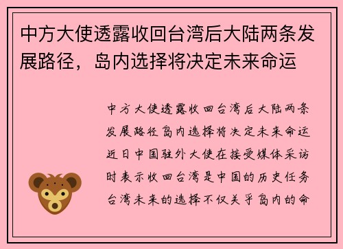 中方大使透露收回台湾后大陆两条发展路径,岛内选择将决定未来命运