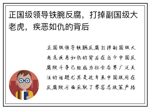 正国级领导铁腕反腐,打掉副国级大老虎,疾恶如仇的背后