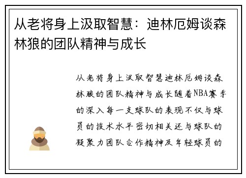 从老将身上汲取智慧：迪林厄姆谈森林狼的团队精神与成长