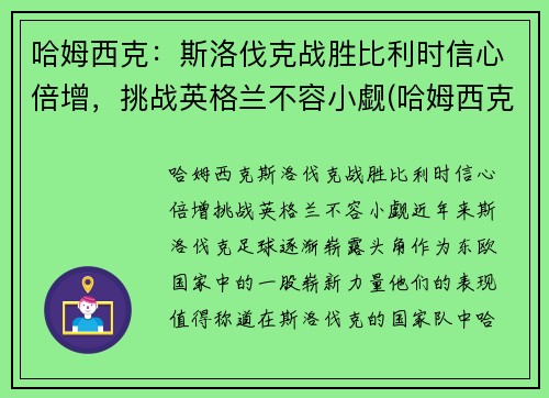 哈姆西克：斯洛伐克战胜比利时信心倍增，挑战英格兰不容小觑(哈姆西克简介)